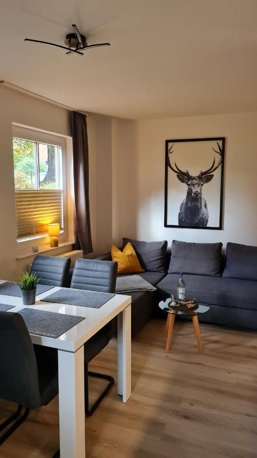 Ferienwohnung Braunlage - Gemuetliche Auszeit Luaran gambar